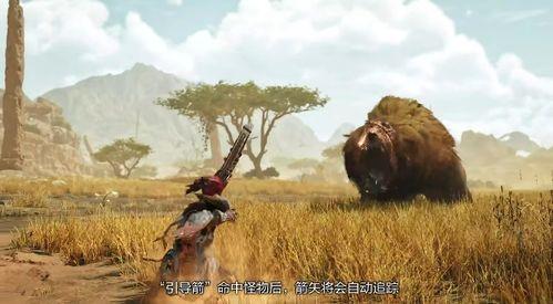 荒野兄弟爆料视频,独家爆料带你探秘野外生存秘籍